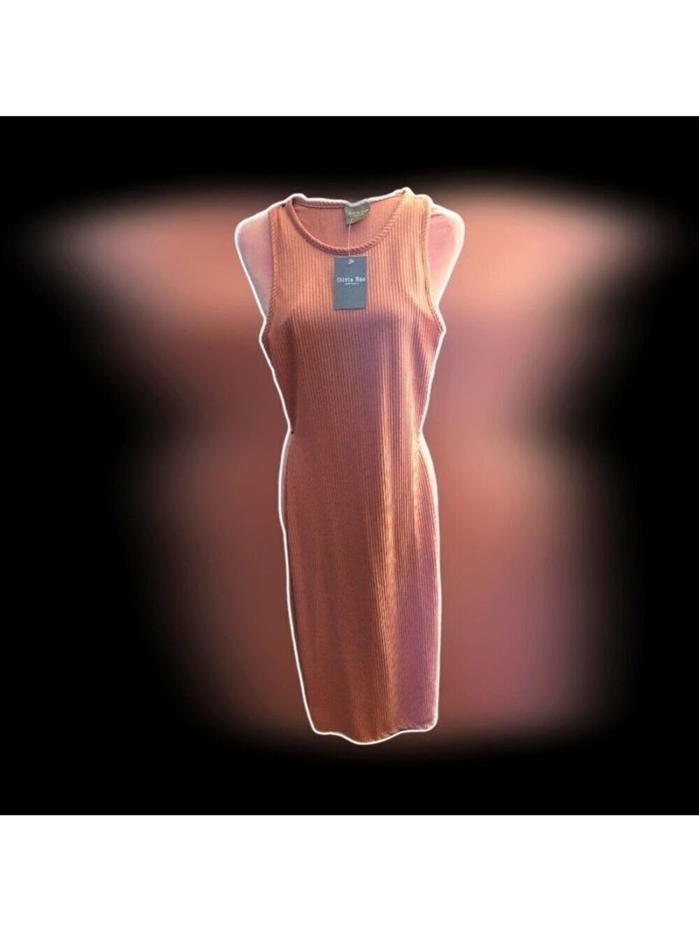 NWT Olivia Rae Dress Sz XS